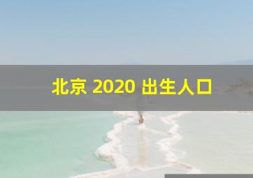 北京 2020 出生人口